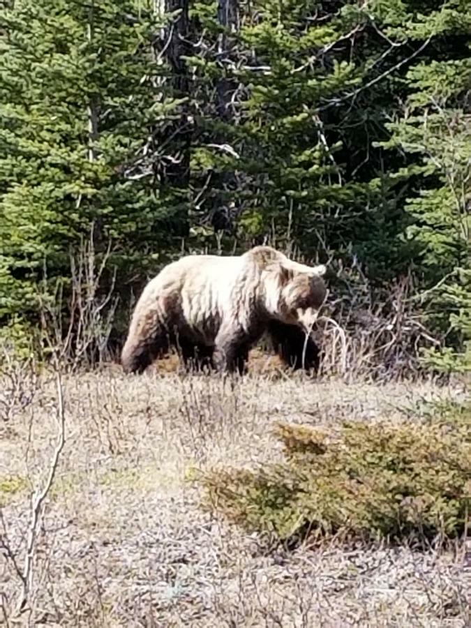 Roche Bonhomme Rustic Suite Jasper Eksteriør billede